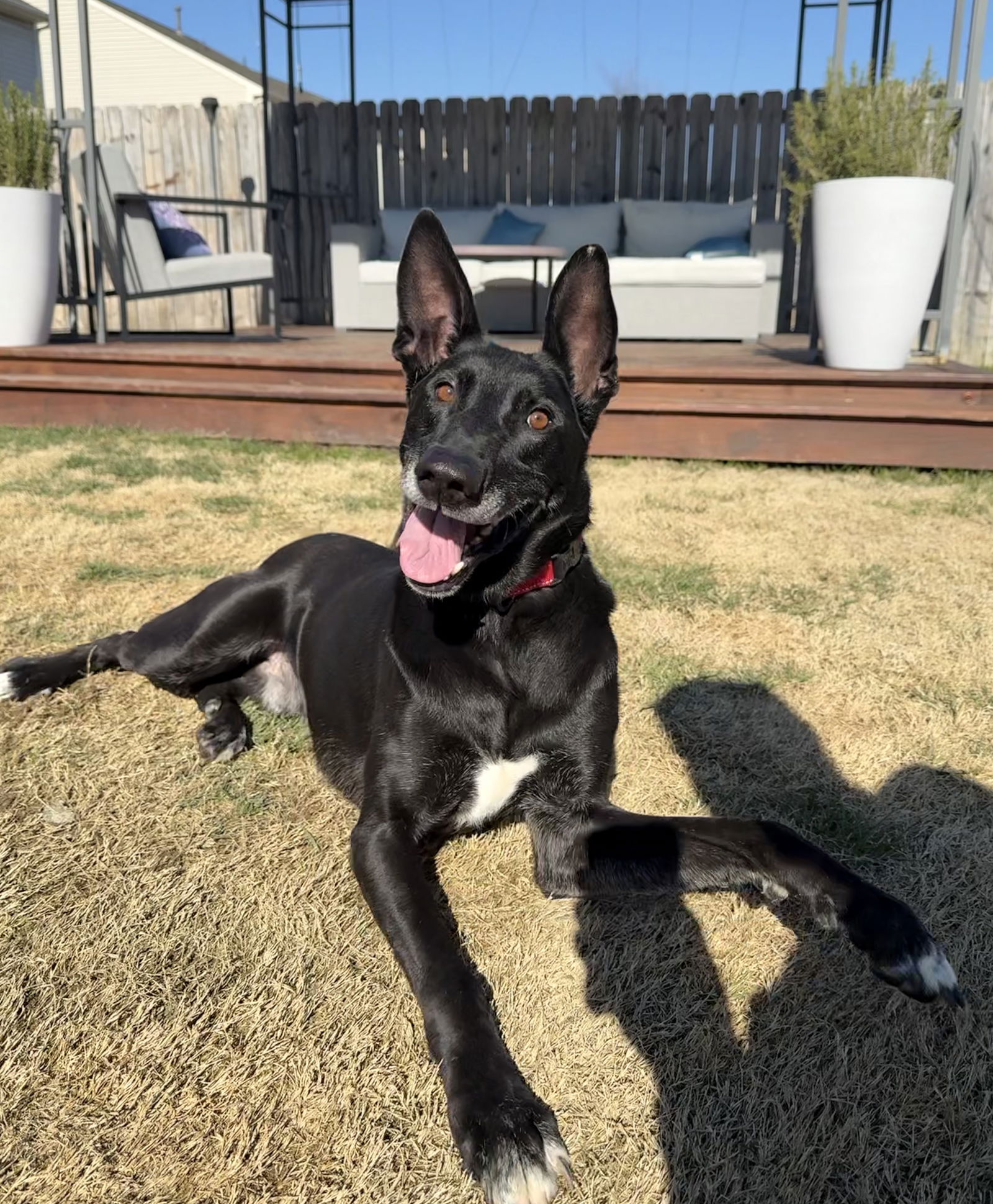 Loki